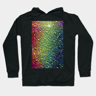 Shiny Glitter & Sparkle Beaded Glamour Hoodie